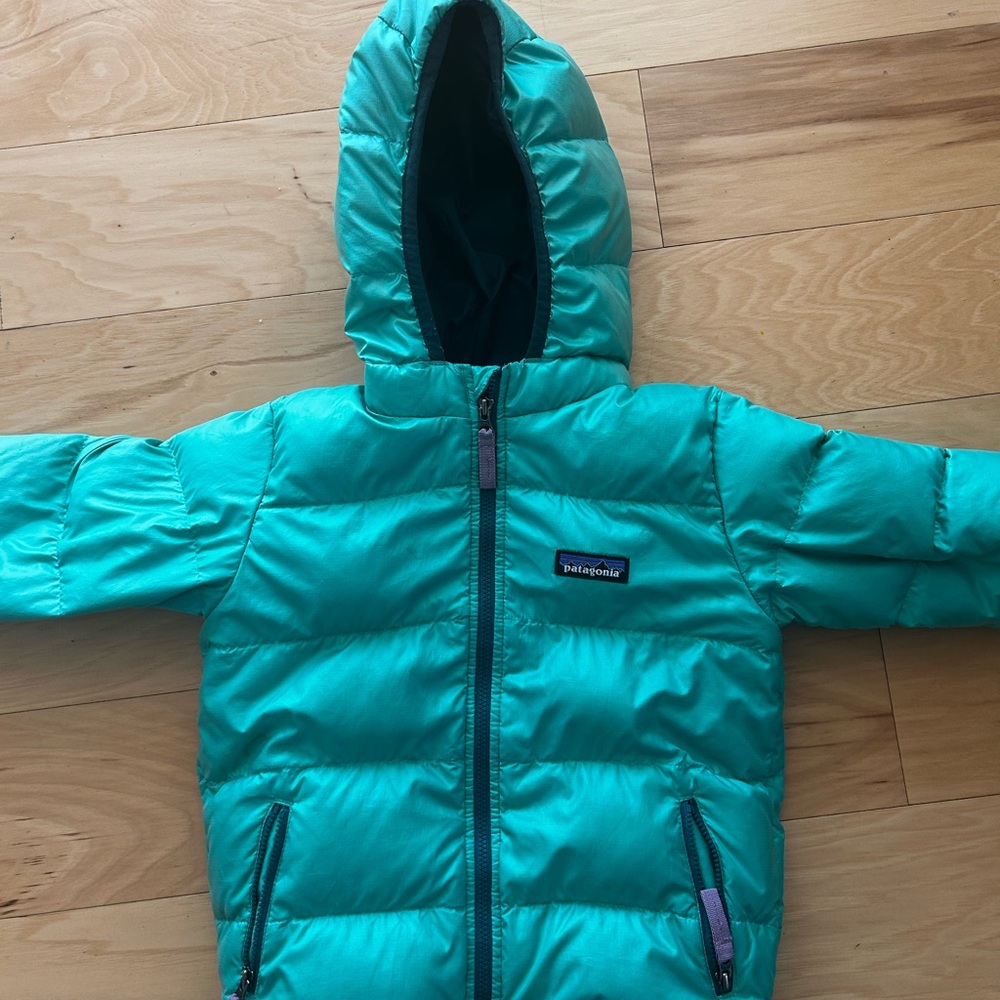Patagonia Teal Puffer Jacket